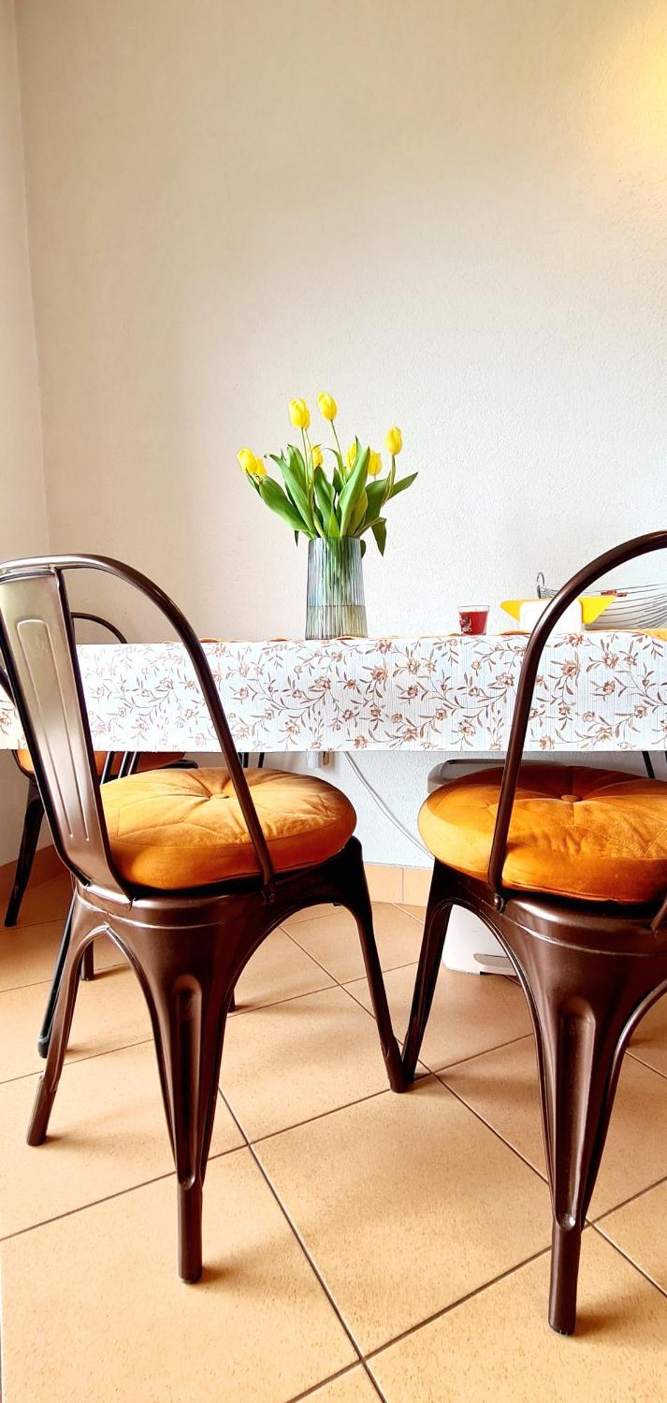 Karlito Apartment Криквеница Екстериор снимка