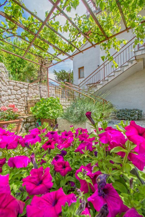 Karlito Apartment Криквеница Екстериор снимка